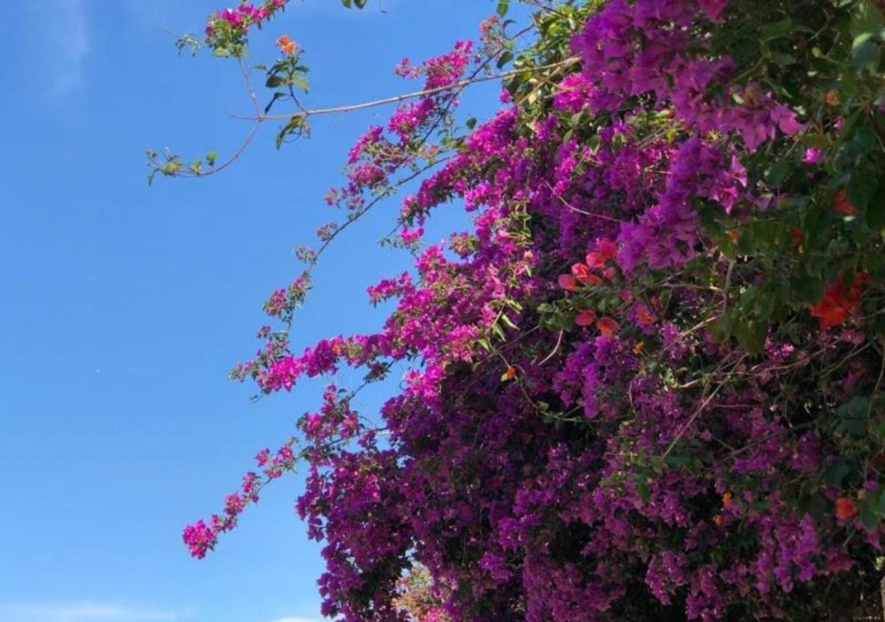 Pousada Halliny Do Rosa Praia do Rosa Εξωτερικό φωτογραφία